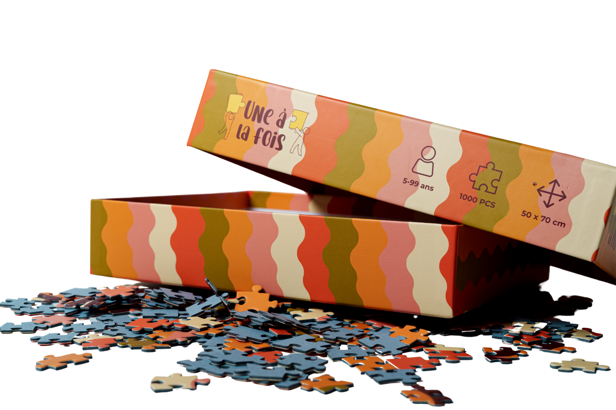 Tout ça pour ça - 1000 pièces