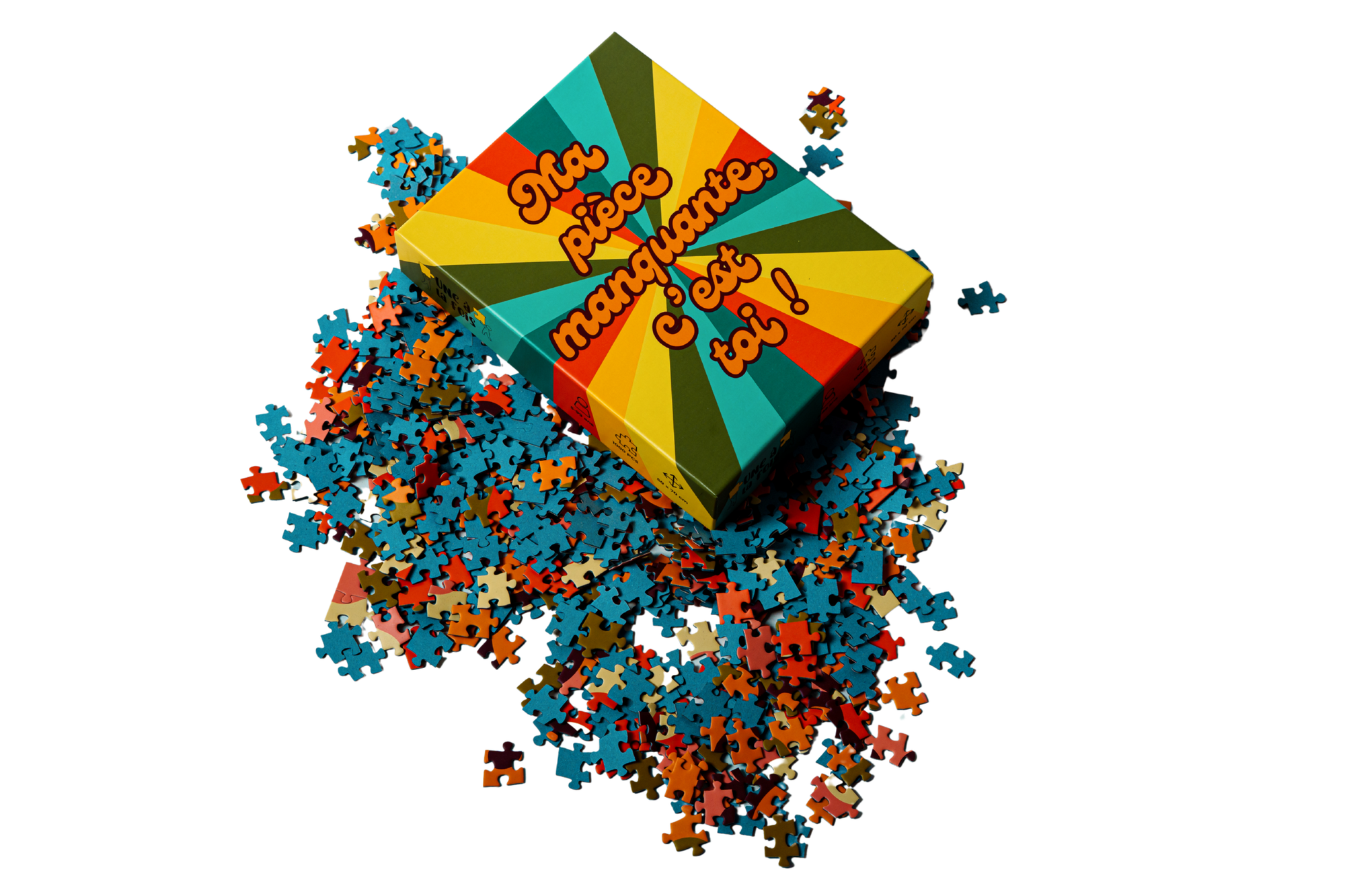 Ma pièce manquante, c'est toi ! - 1000 pièces