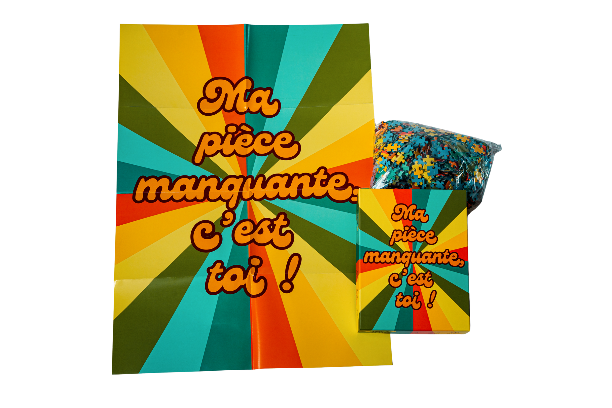 Ma pièce manquante, c'est toi ! - 1000 pièces